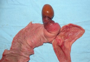 ???????????????????????????????