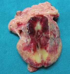 ???????????????????????????????